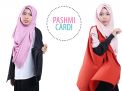 Tahukah Pakai Pashmina Bisa Memberi Kesan Lebih Muda?
