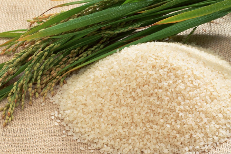 Beda Nasi Indonesia dengan Nasi Arab, Apakah Bibit Padinya Juga Beda?